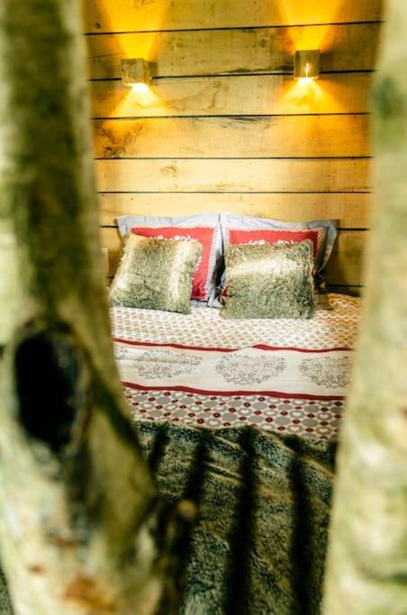 La Cabane Du Cerf Et Son Sauna Attre エクステリア 写真