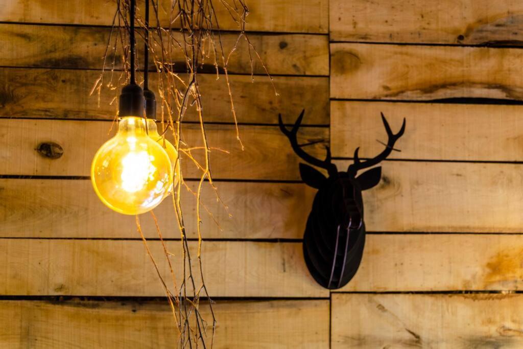 La Cabane Du Cerf Et Son Sauna Attre エクステリア 写真